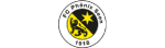 FC Phönix Seen